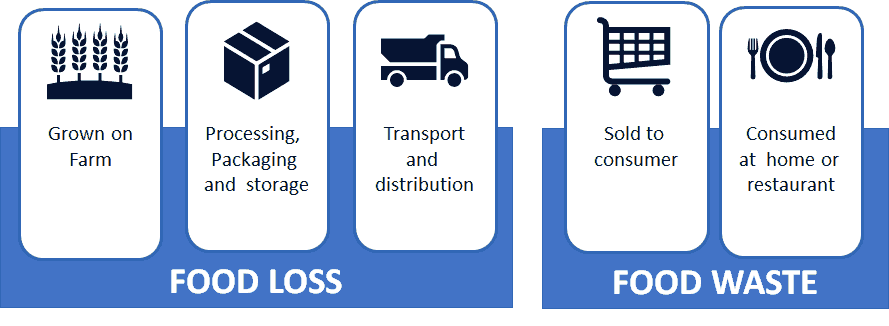 what-is-the-difference-between-food-loss-and-food-waste